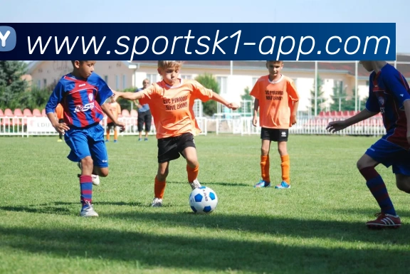 k1体育APP 高清赛事图