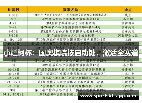小烂柯杯：国奥棋院按启动键，激活全赛道